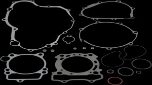 Shopping Cart, Shopping Cart