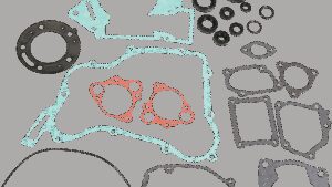 MOOSE OFFROAD Motor Gasket Kit with Oil Seal - Honda