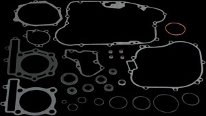 Shopping Cart, Shopping Cart