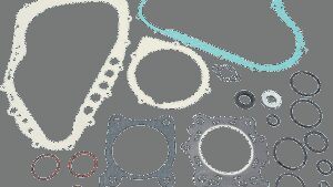 MOOSE OFFROAD Motor Gasket Kit with Oil Seal - Arctic Cat/Suzuki