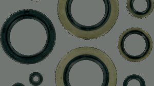 MOOSE OFFROAD Motor Oil Seals - Kawasaki