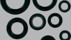 MOOSE OFFROAD Motor Oil Seals - Honda