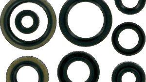 MOOSE OFFROAD Motor Oil Seals - Suzuki