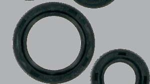 MOOSE OFFROAD Motor Oil Seals - Kawasaki