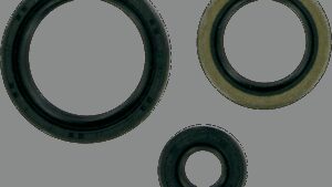 MOOSE OFFROAD Motor Oil Seals - Polaris