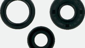 MOOSE OFFROAD Motor Oil Seals - Honda