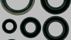 MOOSE OFFROAD Motor Oil Seals - Suzuki
