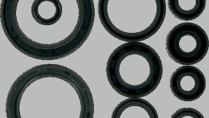 MOOSE OFFROAD Motor Oil Seals - Honda