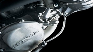 MOOSE OFFROAD MOOSE PEDAL ANCHORS