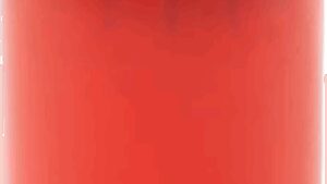 MOTION PRO Fork Seal Bullet - Protector - Red - 36 mm