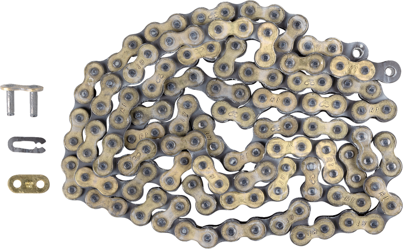 REGINA 520 RX3 - Drive Chain - 116 Links - Image 2