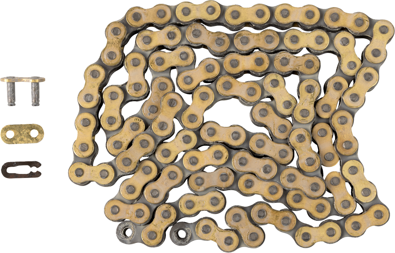 REGINA 520 RX3 - Drive Chain - 100 Links - Image 2