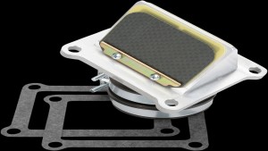 Shopping Cart, Shopping Cart