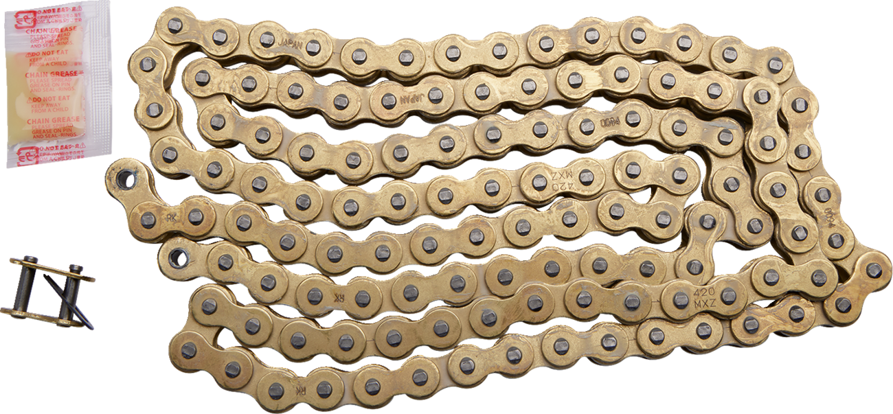 REGINA 530 RT - Drive Chain - 110 Links - Image 2