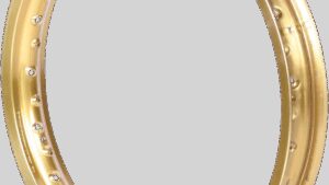 EXCEL Rim - Takasago - Rear - 36 Hole - Gold - 18x2.15