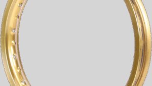 EXCEL Rim - Takasago - Rear - 32 Hole - Gold - 18x2.15