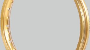 EXCEL Rim - Takasago - Rear - 32 Hole - Gold - 19x1.85