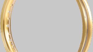 EXCEL Rim - Takasago - Rear - 36 Hole - Gold - 19x2.15