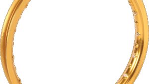 EXCEL Rim - Takasago - Rear - 36 Hole - Gold - 19x2.15