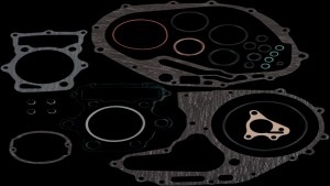 Shopping Cart, Shopping Cart