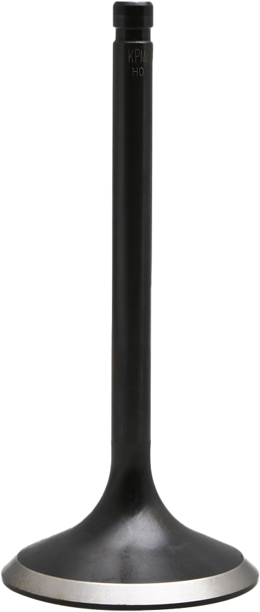 Black Diamond O/s Int. Valve Evo/twin Cam `84-04