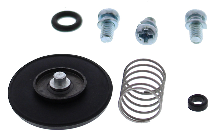 Accelerator Pump Rebuild Kit