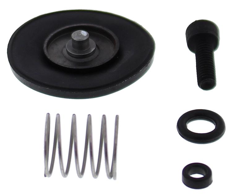 Accelerator Pump Rebuild Kit