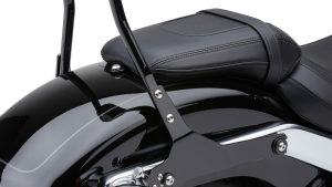 COBRA DETACHABLE BACKREST ROUND BLACK FLHC/S 18-22