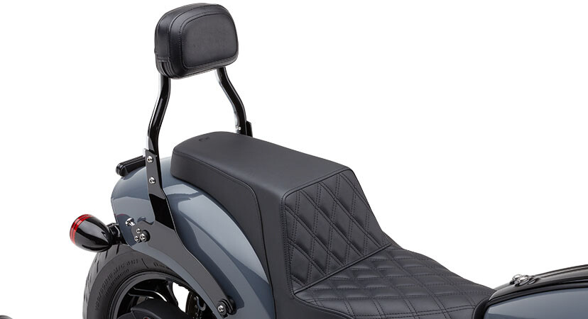 COBRA DETACH BACKREST MINI BLACK CHIEF 22
