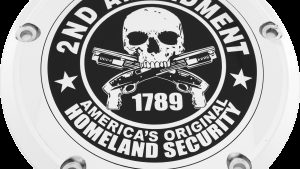 CUSTOM ENGRAVING 7   M8 FLT/FLH DERBY COVER 2A CHROME