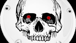 CUSTOM ENGRAVING 7   M8 FLT/FLH DERBY COVER SKULL CHROME