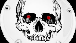 CUSTOM ENGRAVING 7   TC DERBY COVER SKULL CHROME