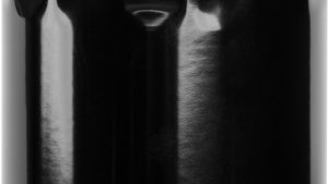 HARDDRIVE OIL FILTER PANAM SYN BLK 176B OE 62700280