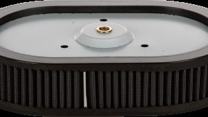 HARDDRIVE PERFORMANCE AIR FILTER REPL OEM 29670-09