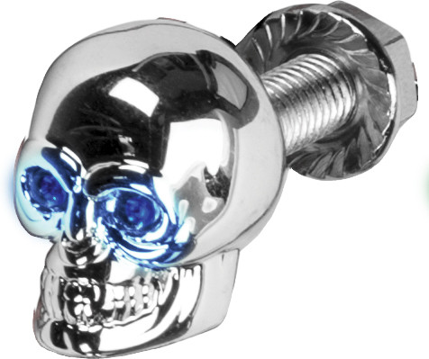 HARDDRIVE LIGHTED SKULL LIC PLATE SCREW BLUE