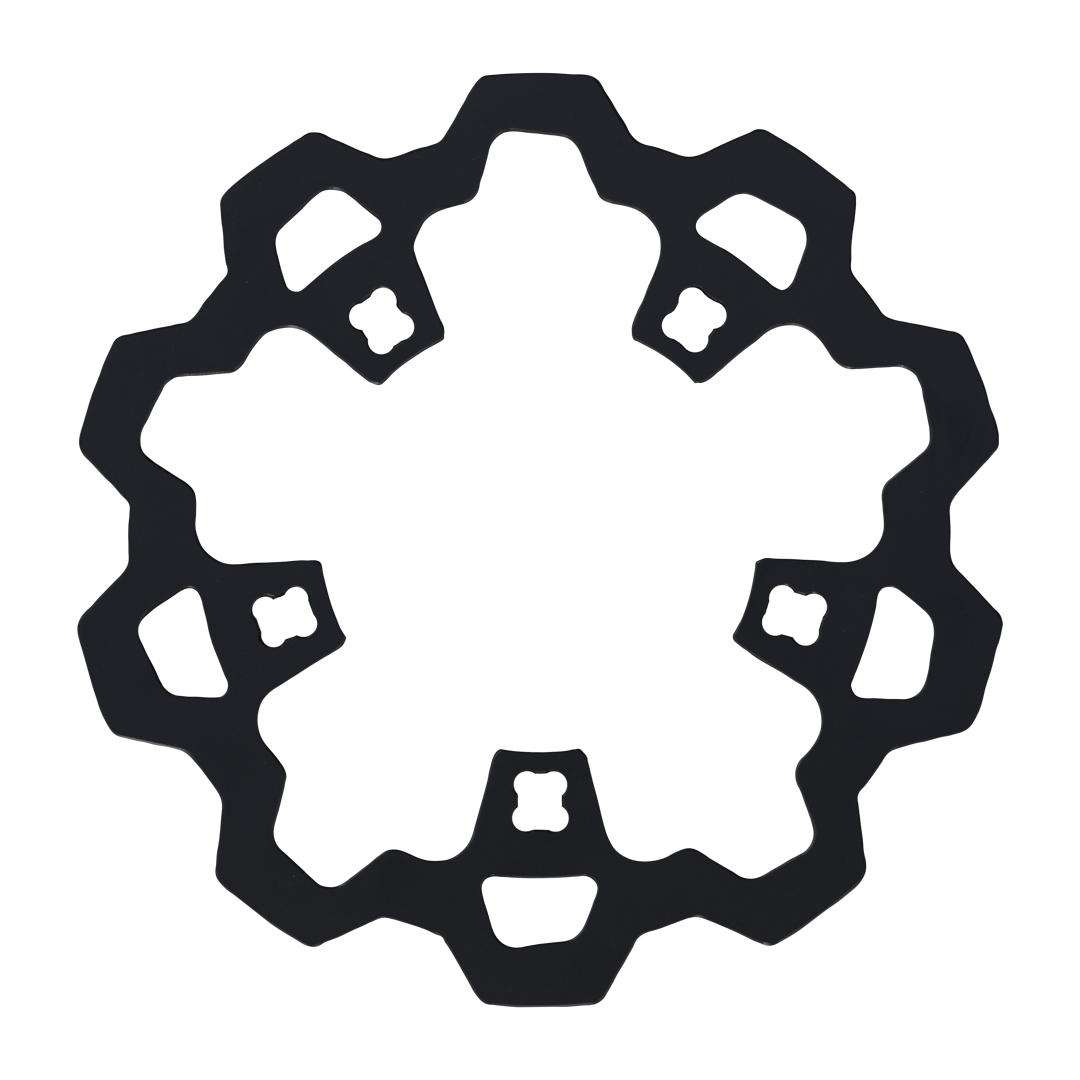 LYNDALL BRAKES ENFORCER 1 PIECE ROTOR FRONT BLACK 11.8