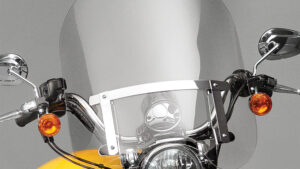 NATIONAL CYCLE DAKOTA 3.0 WS 20.5"X18" CLEAR