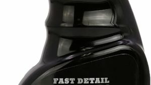 PIG SPIT FAST DETAIL 16 OZ 6/CASE