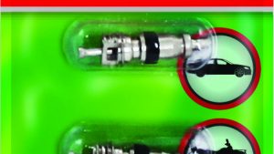 SLIME 4/PC VALVE CORES SHORT