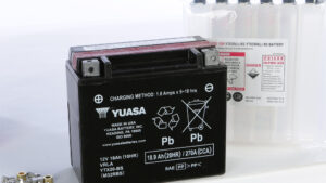 YUASA BATTERY YTX20-BS MAINTENANCE FREE