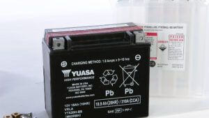 YUASA BATTERY YTX20H-BS MAINTENANCE FREE