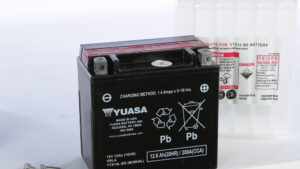 YUASA BATTERY YTX14L-BS MAINTENANCE FREE