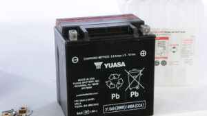 YUASA BATTERY YIX30L-BS MAINTENANCE FREE